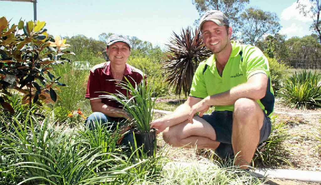 Baringa Nursery owner Cathy Ryan and Clint Kenny of Clint Kenny Designs will donate plants, time and energy to install the garden at Killarney Co-op medical centre.